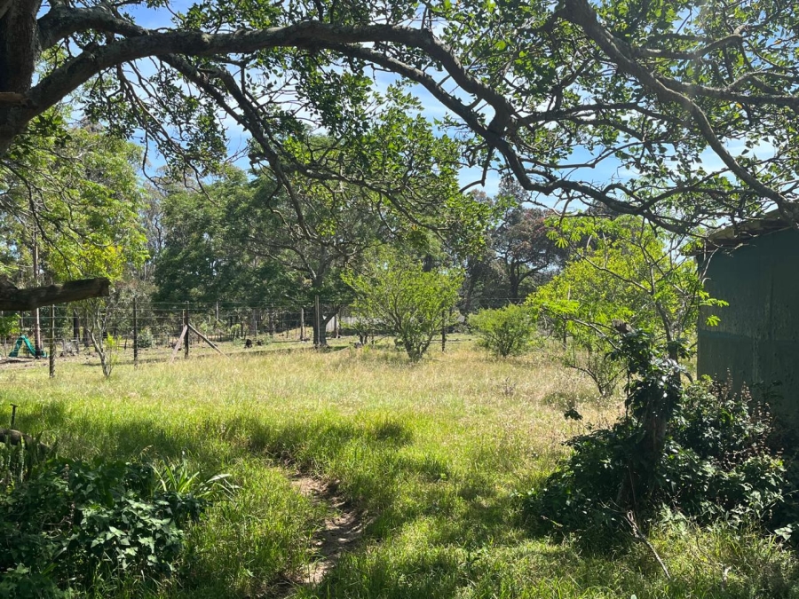 3 Bedroom Property for Sale in Greenbushes Eastern Cape